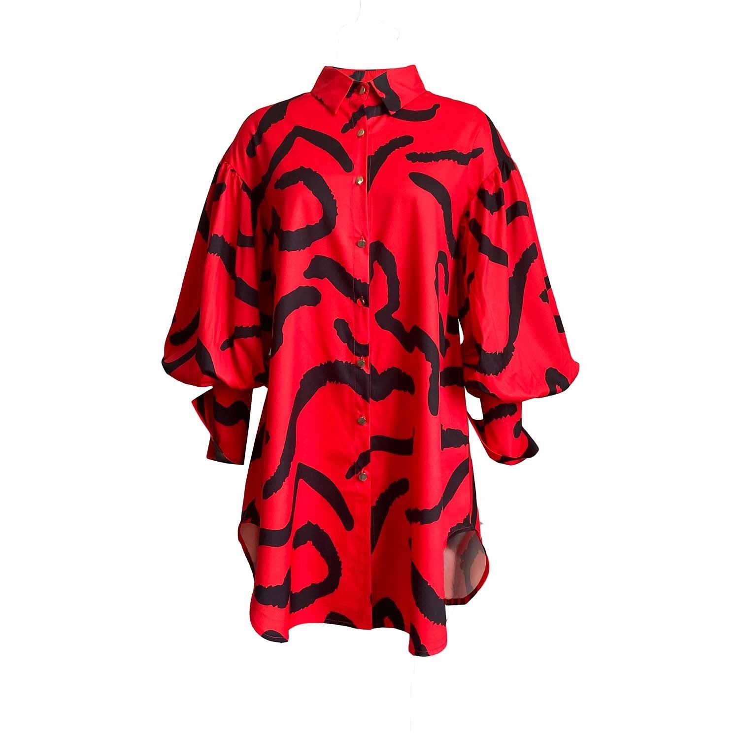Women Dress Long Sleeve Printed Puff Sleeve Loose